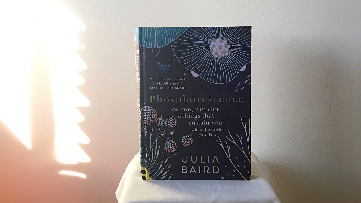 Phosphorescence by Julia Baird